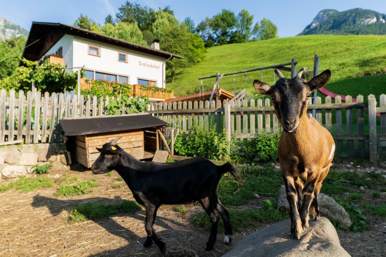 Penzion Trafisolerhof Fiè Exteriér fotografie